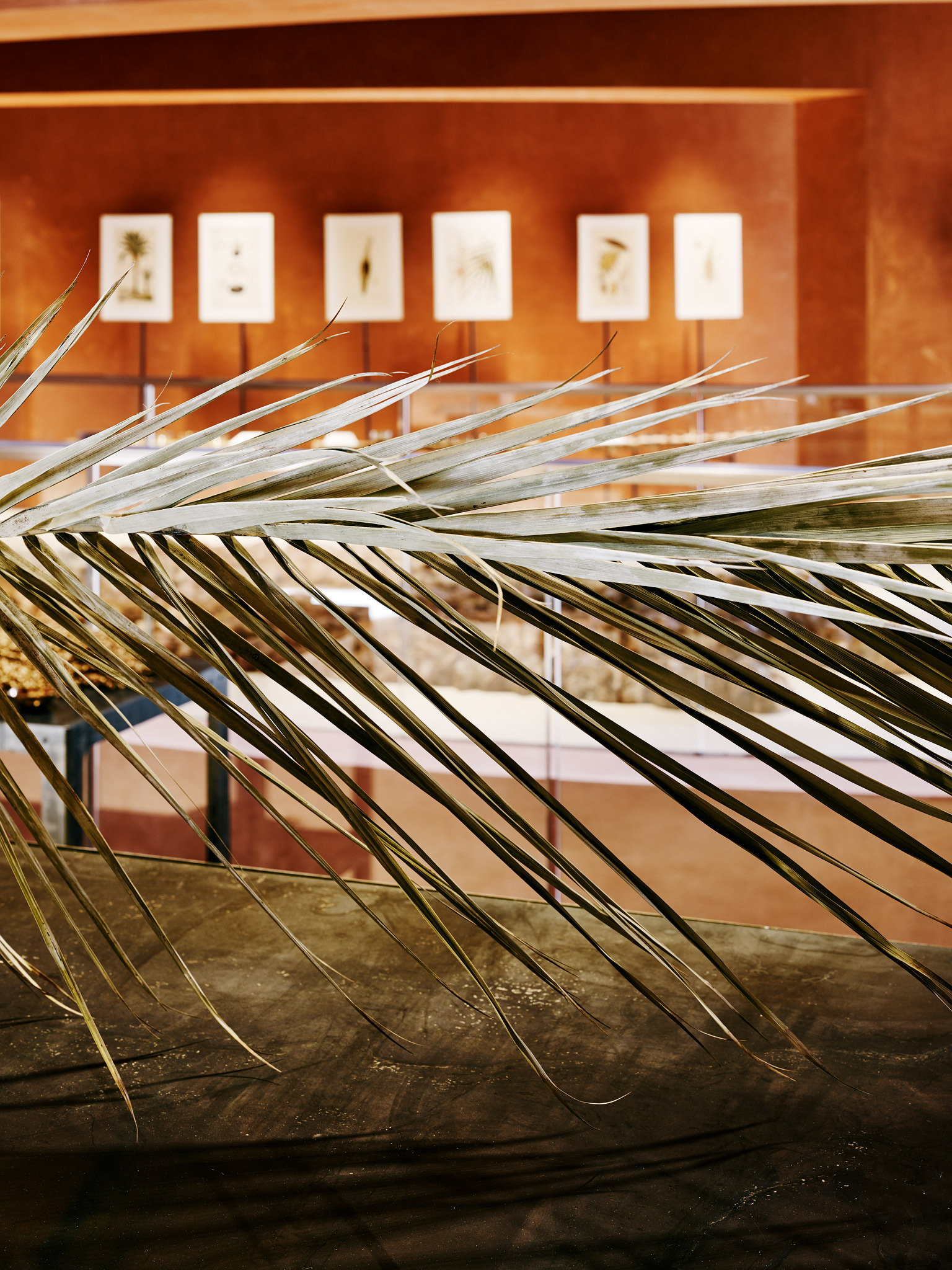 E15547 Alpa 050404 SCREEN